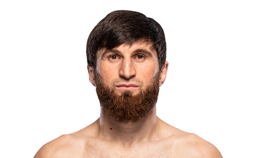 Magomed Ankalaev portrait