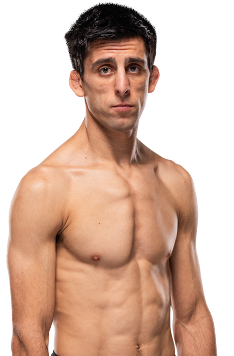 Steve Erceg portrait