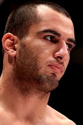 gegard mousasi 345945