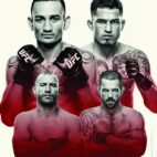 20161129002454 UFC 206 poster