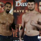 David Haye3