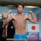 inoue mcdonnell weights 4