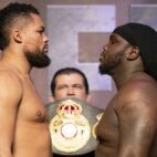 joyce stiverne weights 3