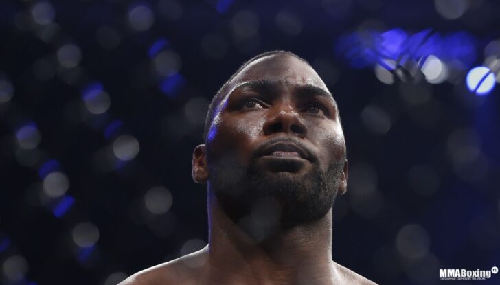 103 Alexander Gustafsson vs Anthony Johnson.0.0