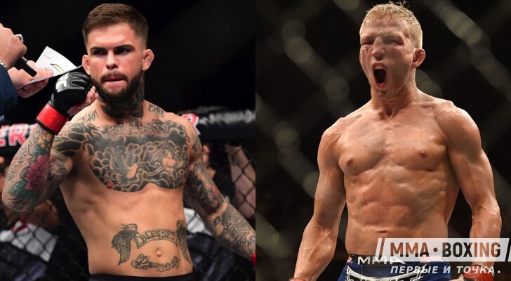 Garbrandt Dillashaw 1